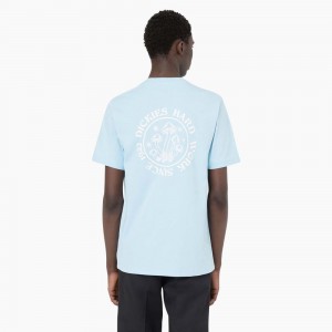 Men's Dickies Bayside Gardens Short Sleeve T-Shirt Blue | 6845231-CS