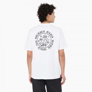 Men's Dickies Bayside Gardens Short Sleeve T-Shirt White | 5982641-GU