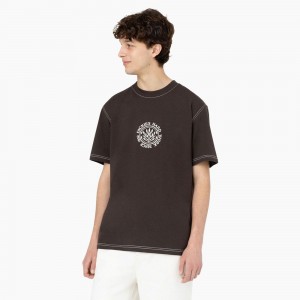 Men's Dickies Beavertown Short Sleeve T-Shirt Brown | 7083956-EH