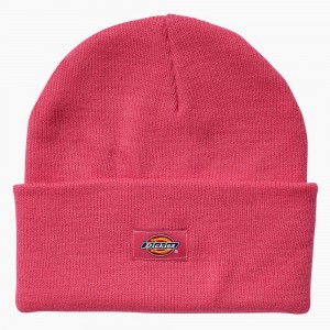 Men's Dickies Breast Cancer Awareness Cuffed Knit Beanie Pink | 1437286-QK