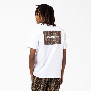 Men's Dickies Camden Box Graphic T-Shirt White | 8305492-KZ