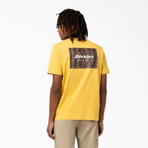 Men's Dickies Camden Box Graphic T-Shirt Yellow | 8670194-EW