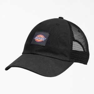 Men's Dickies Canvas Trucker Hat Black | 0361974-LV