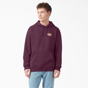 Men's Dickies Fleece Embroidered Chest Logo Hoodie Purple | 2981743-BK