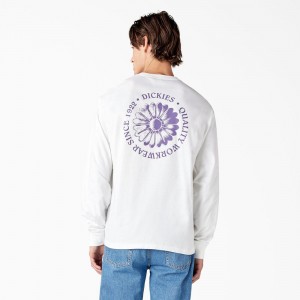 Men's Dickies Garden Plain Graphic Long Sleeve T-Shirt White | 3791586-WJ