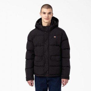 Men's Dickies Glacier View Anorak Puffer Jacket Black | 1708359-MC