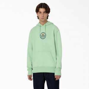 Men's Dickies Greensburg Graphic Hoodie Green | 7580342-EP