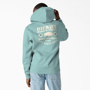 Men's Dickies Hays Graphic Hoodie Turquoise | 0138947-ZI