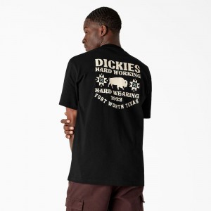 Men's Dickies Hays Graphic T-Shirt Black | 3452601-UM