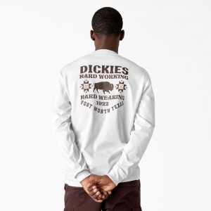 Men's Dickies Hays Long Sleeve Graphic T-Shirt White | 8352064-EL