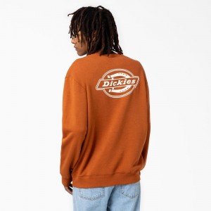 Men's Dickies Holtville Sweatshirt Orange | 1953267-WT