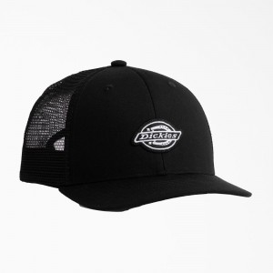 Men's Dickies Low Pro Logo Trucker Hat Black | 6721948-MD