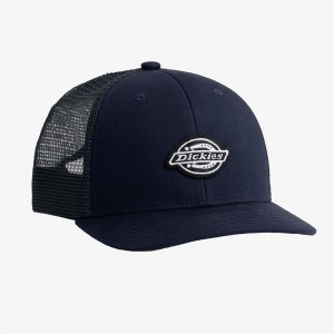 Men's Dickies Low Pro Logo Trucker Hat Navy | 3925048-CA