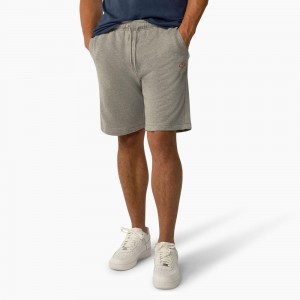 Men's Dickies Mapleton Regular Fit Shorts Grey | 8954610-DU