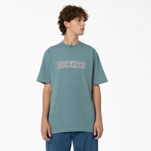 Men's Dickies Melvern Graphic T-Shirt Blue | 1075986-YX