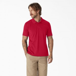 Men's Dickies Short Sleeve Performance Polo Shirt Red | 8063594-XQ