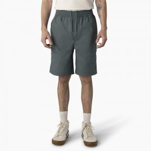 Men's Dickies Skateboarding Grants Pass Relaxed Fit Shorts Blue | 9301645-AR