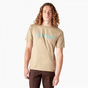 Men's Dickies Skateboarding Logo T-Shirt Khaki | 2457086-AP