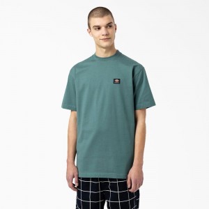 Men's Dickies Skateboarding Mount Vista T-Shirt Blue | 2549036-OL