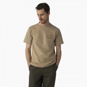 Men's Dickies Skateboarding Regular Fit Chest Logo T-Shirt Khaki | 6890134-EN