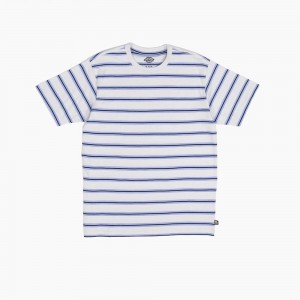 Men's Dickies Skateboarding Striped T-Shirt Blue | 7213058-TC