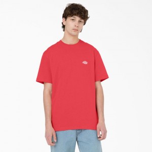 Men's Dickies Summerdale Short Sleeve T-Shirt Pink | 1754380-KB