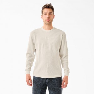 Men's Dickies Tom Knox Thermal Shirt White | 1037459-GP