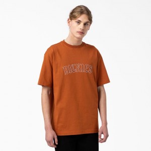 Men's Dickies Union Springs Short Sleeve T-Shirt Brown | 7809316-XF