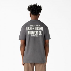 Women's Dickies Built to Last Heavyweight T-Shirt Grey | 4869713-ON