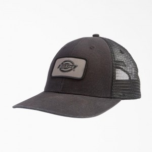 Women's Dickies Canvas Trucker Cap Grey | 1052687-DL