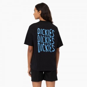 Women's Dickies Creswell Graphic T-Shirt Black | 7204836-HI