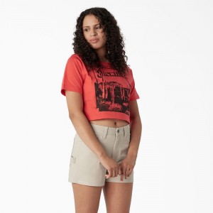 Women's Dickies Desert Graphic Cropped T-Shirt Pink | 2513067-RM