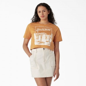 Women's Dickies Desert Graphic Cropped T-Shirt Yellow | 0782653-ND