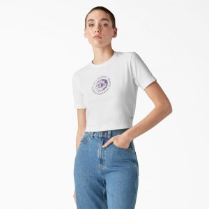 Women's Dickies Garden Plain Cropped T-Shirt White | 8136702-CP