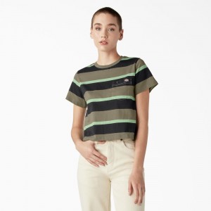 Women's Dickies Large Striped Cropped Pocket T-Shirt Green | 9826534-JW