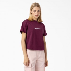 Women's Dickies Loretto Cropped T-Shirt Purple | 2967084-QI