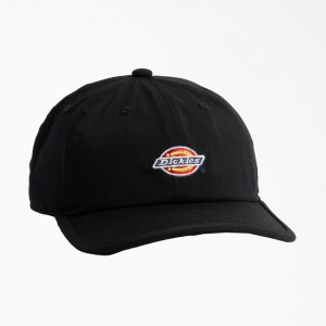 Women's Dickies Low Pro Logo Dad Hat Black | 1823075-NM