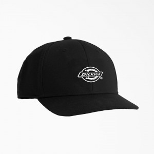 Women's Dickies Low Pro Logo Print Cap Black | 5108347-YO