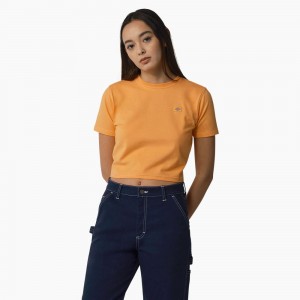 Women's Dickies Maple Valley Cropped T-Shirt Yellow | 7891526-SP