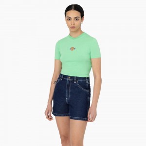 Women's Dickies Maple Valley Logo Cropped T-Shirt Green | 0219687-CE