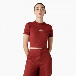 Women's Dickies Maple Valley Logo Cropped T-Shirt Red | 4275036-UI