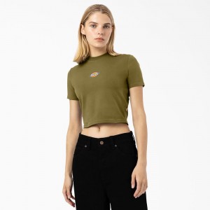 Women's Dickies Maple Valley Logo Cropped T-Shirt Green | 9386510-MC