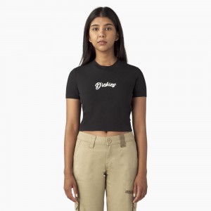 Women's Dickies Mayetta Cropped T-Shirt Black | 3910478-DT