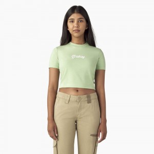 Women's Dickies Mayetta Cropped T-Shirt Green | 7820139-HI