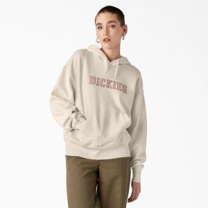 Women's Dickies Melvern Hoodie Grey | 0392146-RZ