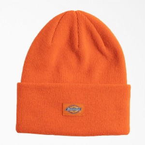 Women's Dickies Neon Cuffed Beanie Orange | 0243179-QD