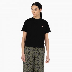 Women's Dickies Oakport Cropped T-Shirt Black | 9284017-ZH