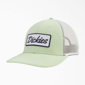 Women's Dickies Patch Logo Trucker Cap Green | 5936401-UQ