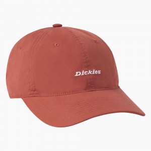 Women's Dickies Premium Collection Ball Cap Orange | 4908153-KB