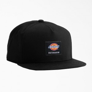 Women's Dickies Skateboarding Mid Pro Cap Black | 7350684-CX